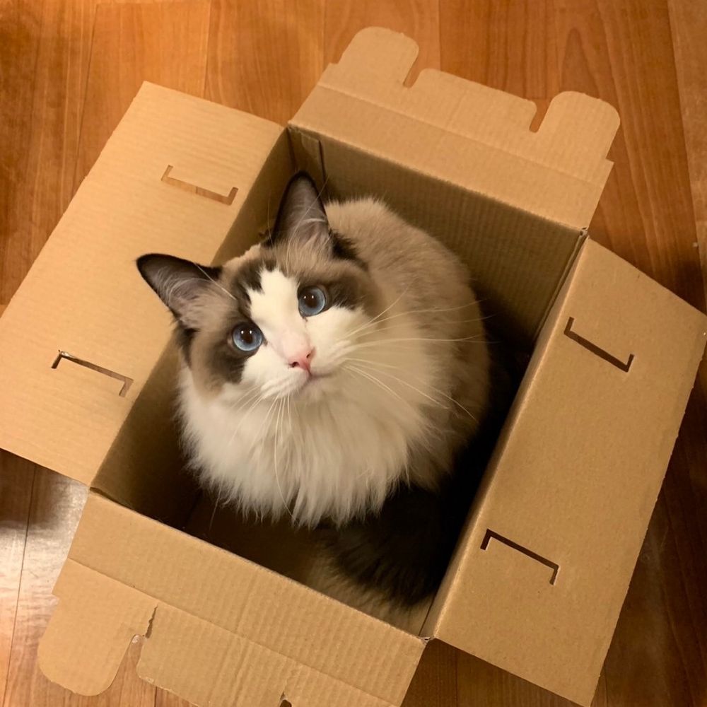 るっちゃん
