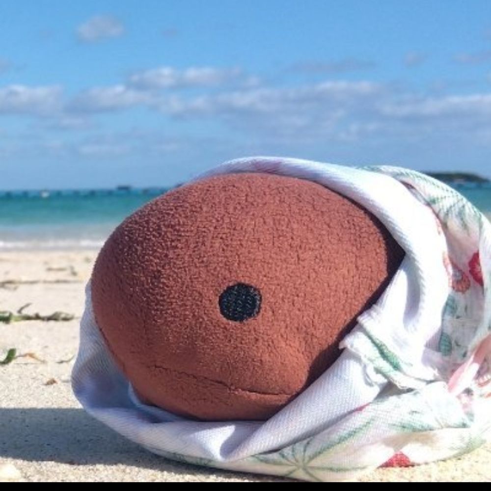 じぇり🌸