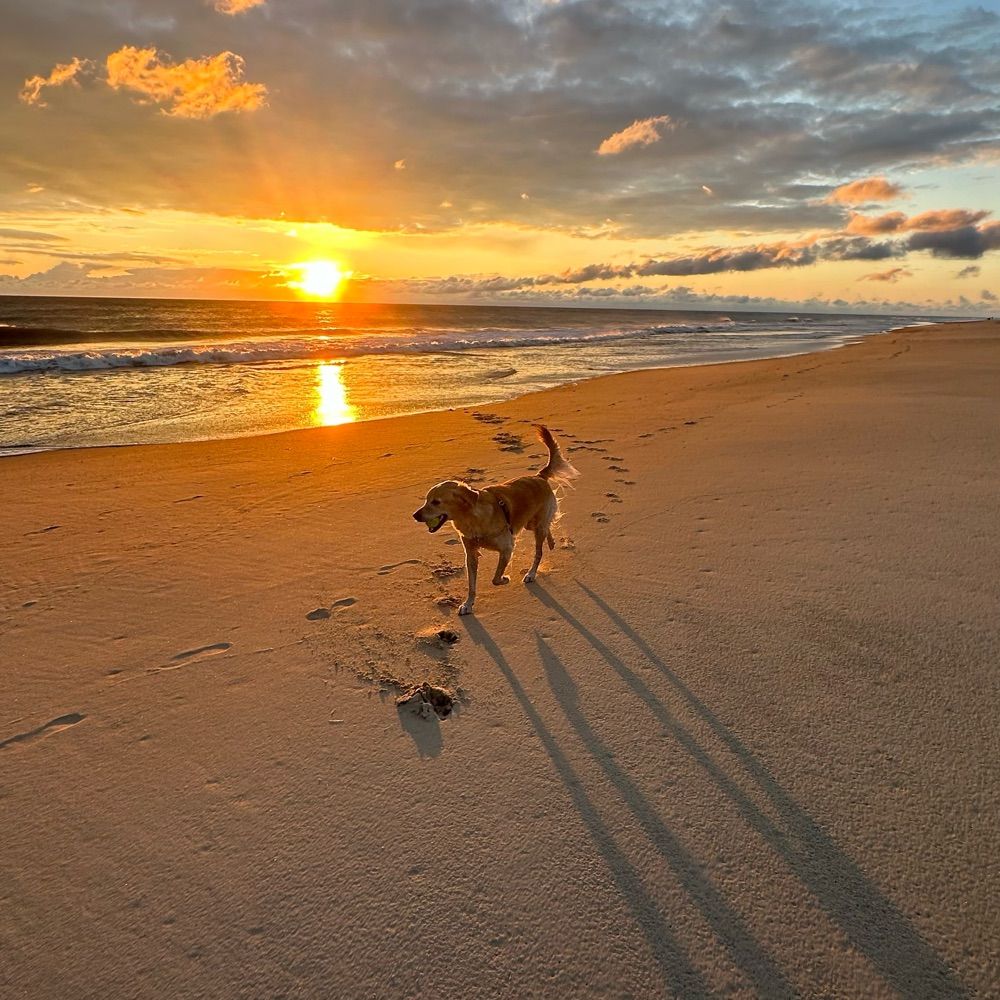 The Outer Banks NC