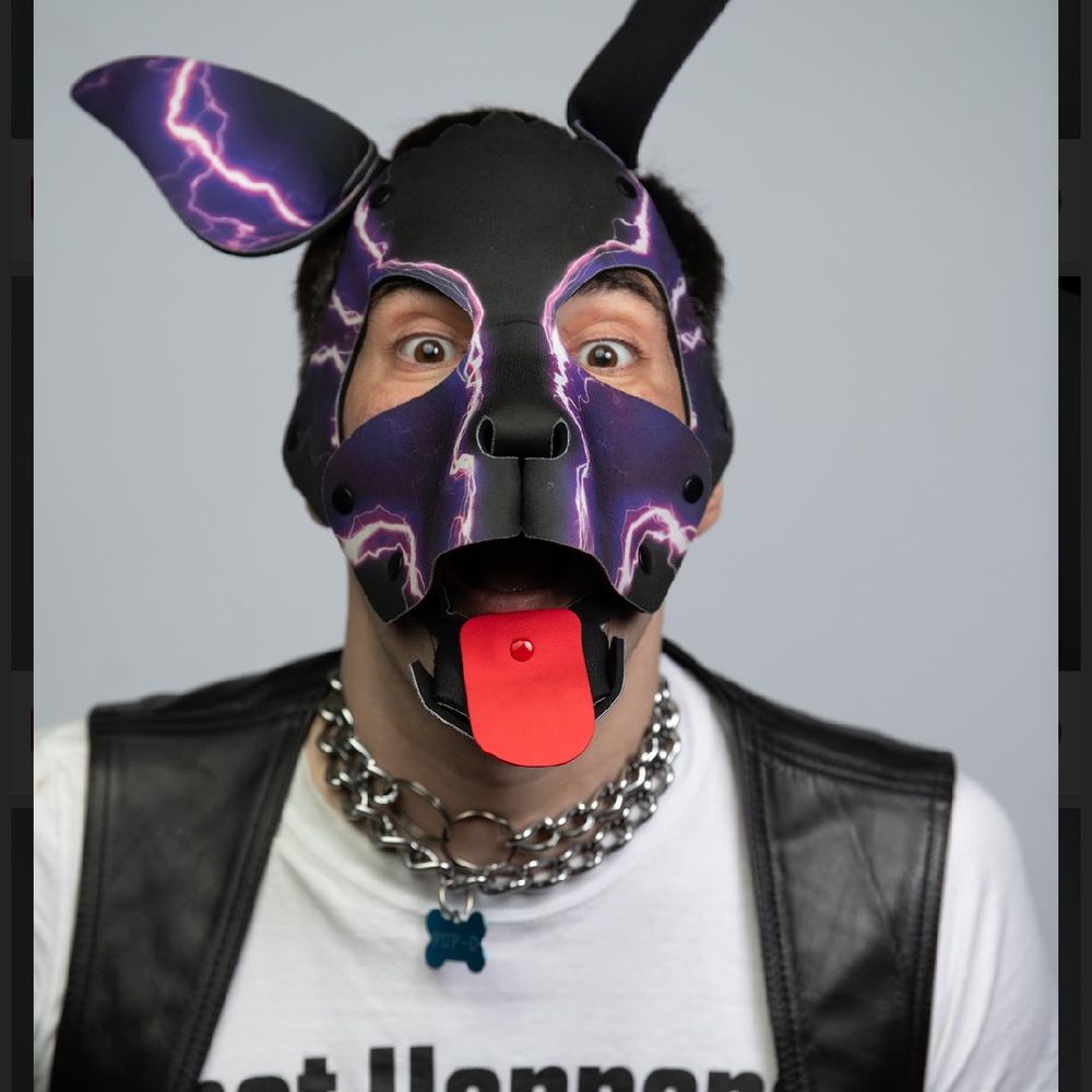 Pup D 