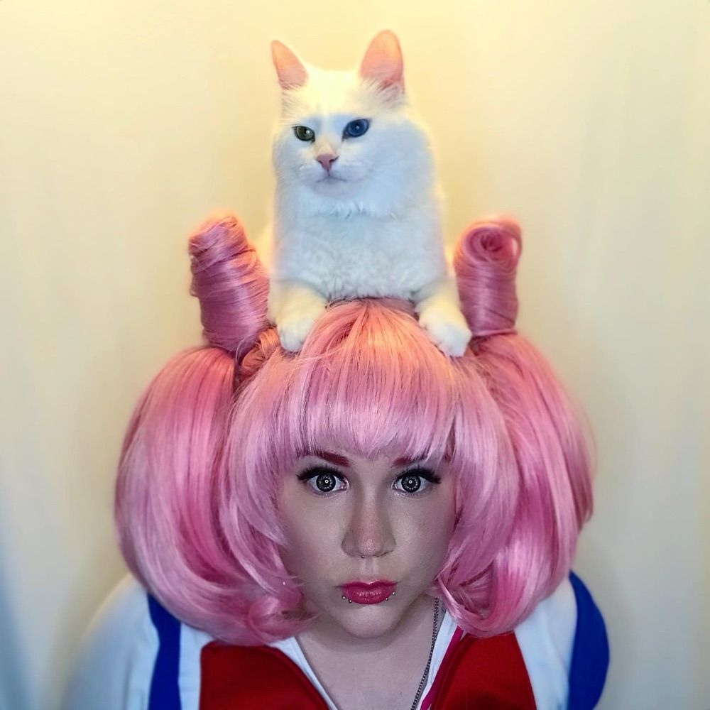 Kat