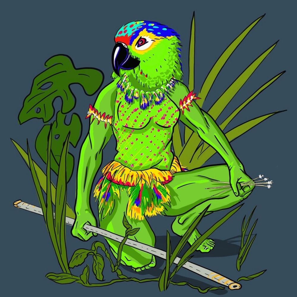 Wild Parrot