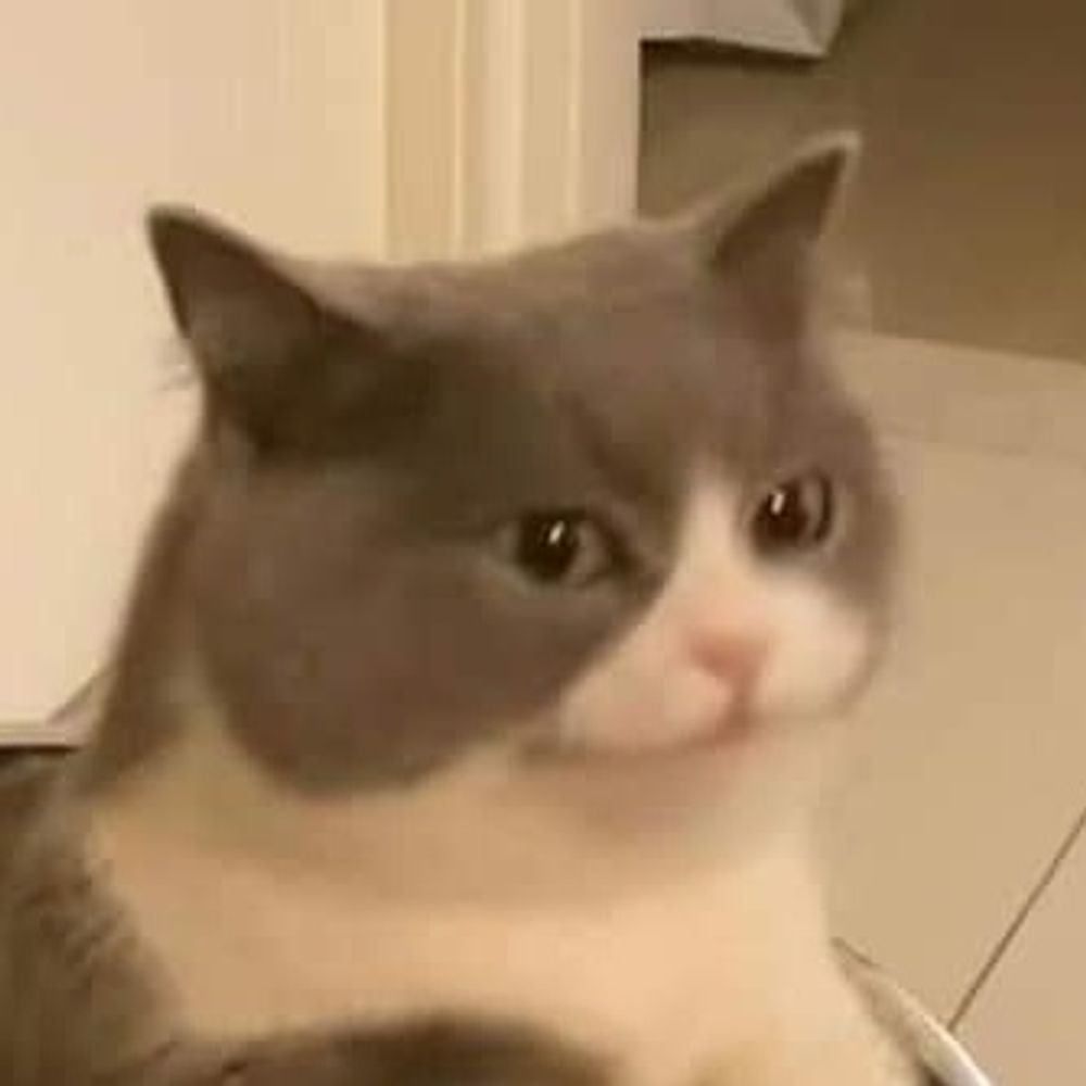 연슈