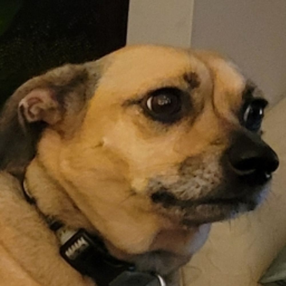 ⚡SparkyBoi⚡
