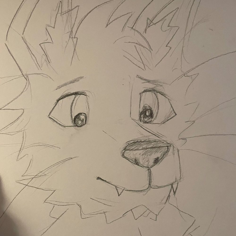 zarko