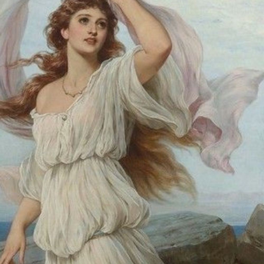 🕊️