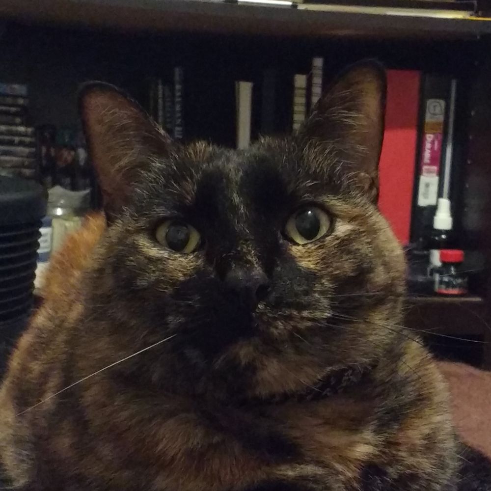 Cassandra