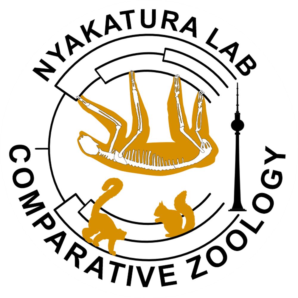 John Nyakatura