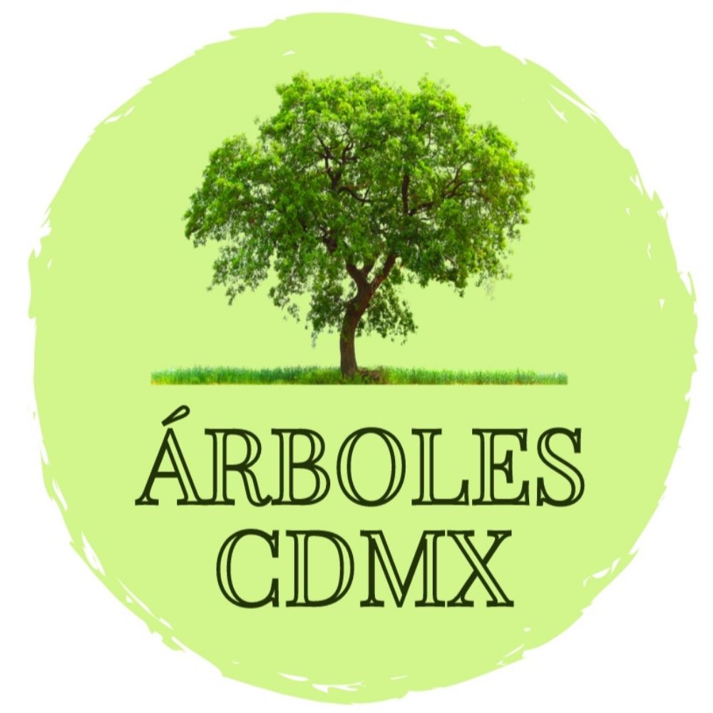 Árboles de la CDMX