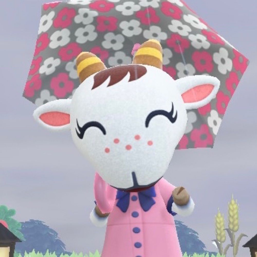Ankoou