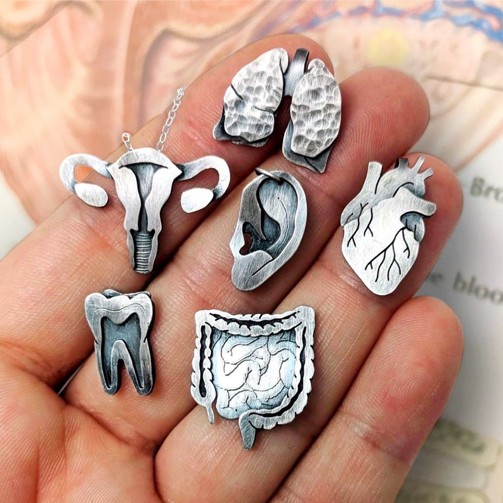 Anatomical Element