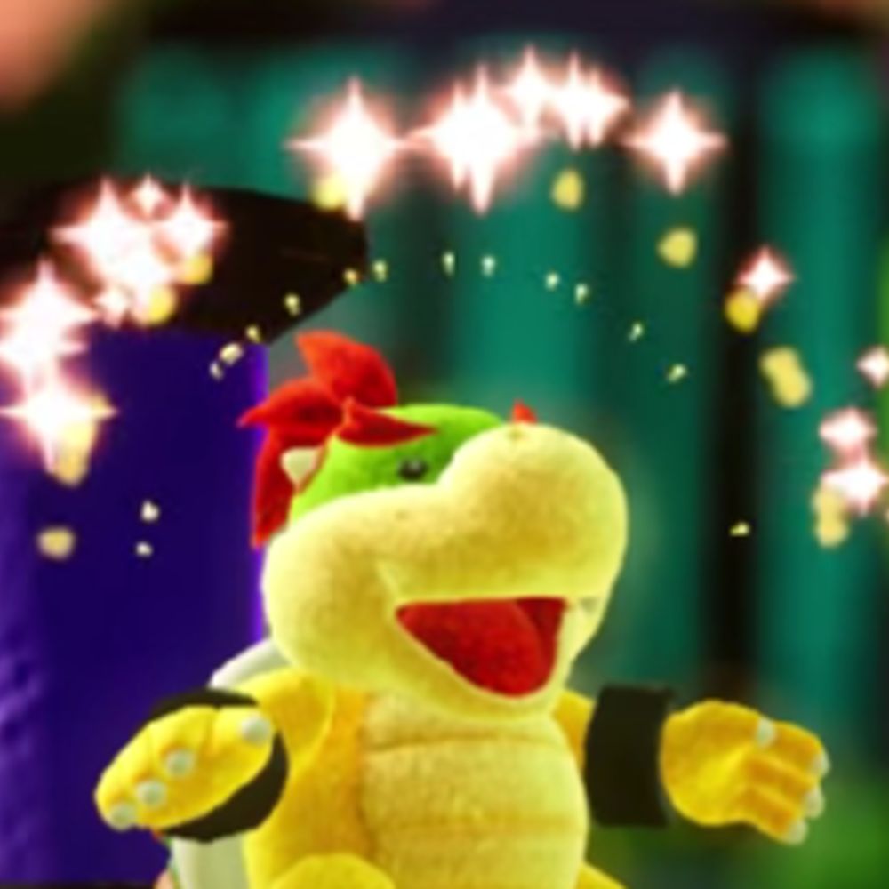 💫 charley koopa 💫