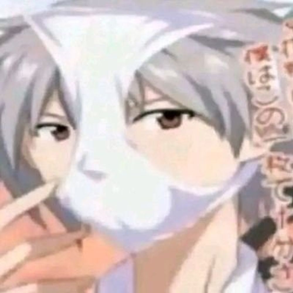 Sisne tu gay