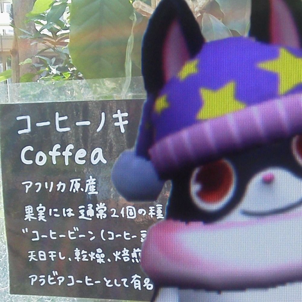 るなすけ