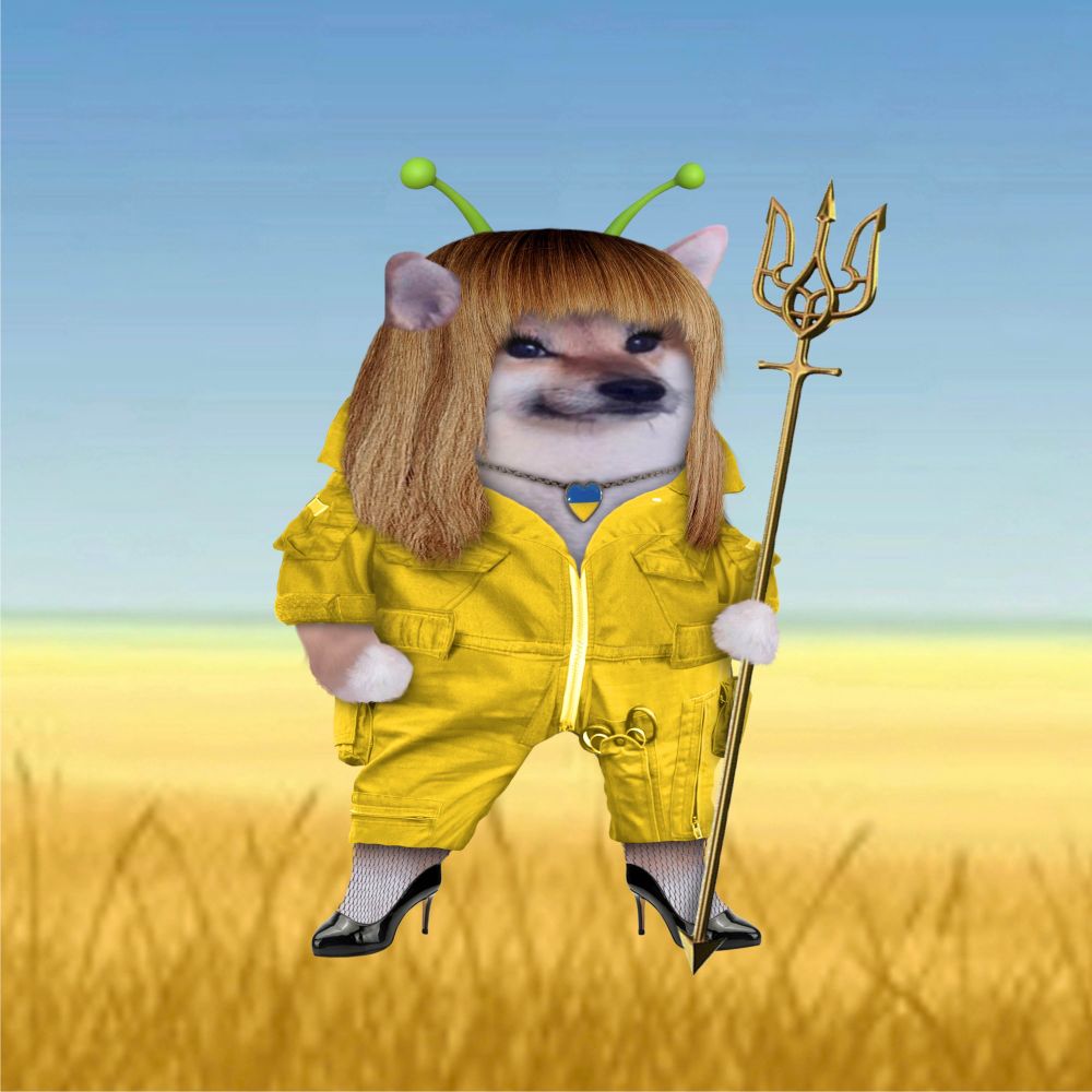FluffySamoyed 