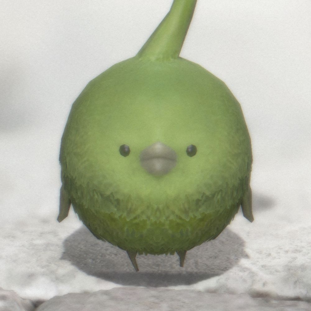 죽살