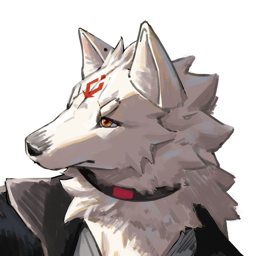 dustookami