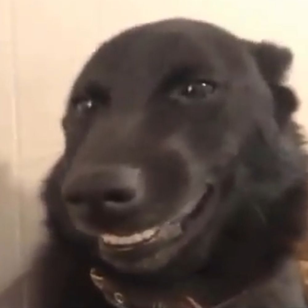 yourdipstick.bsky.social