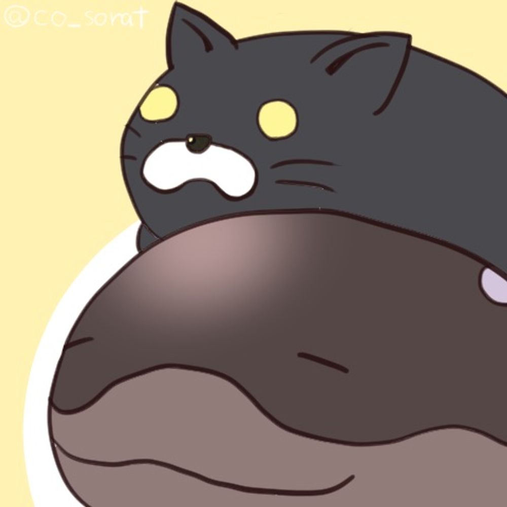 そらと