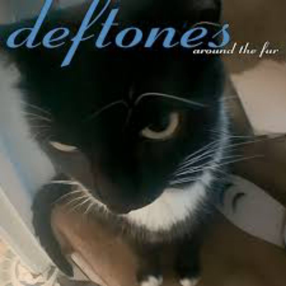 deftoners dias