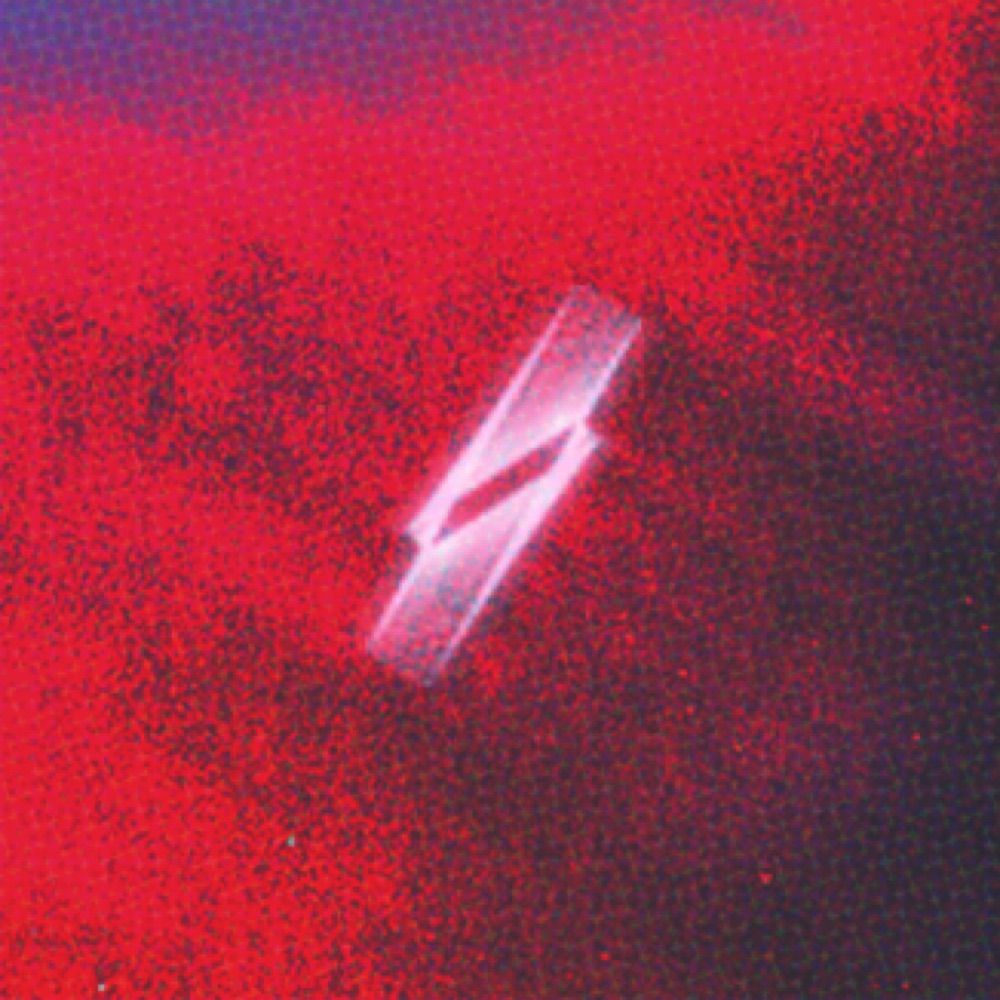 /VARIANCE.//