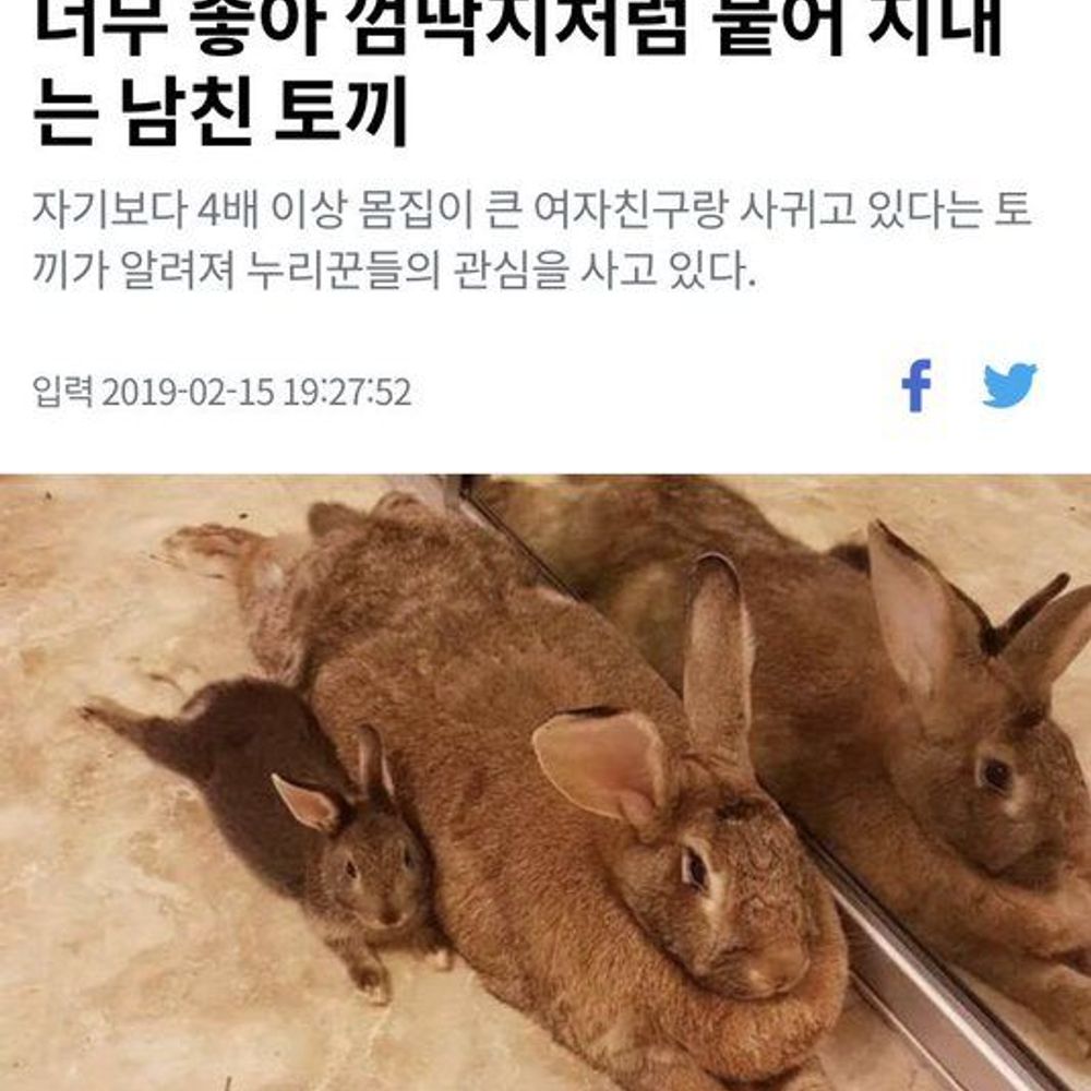 구준표
