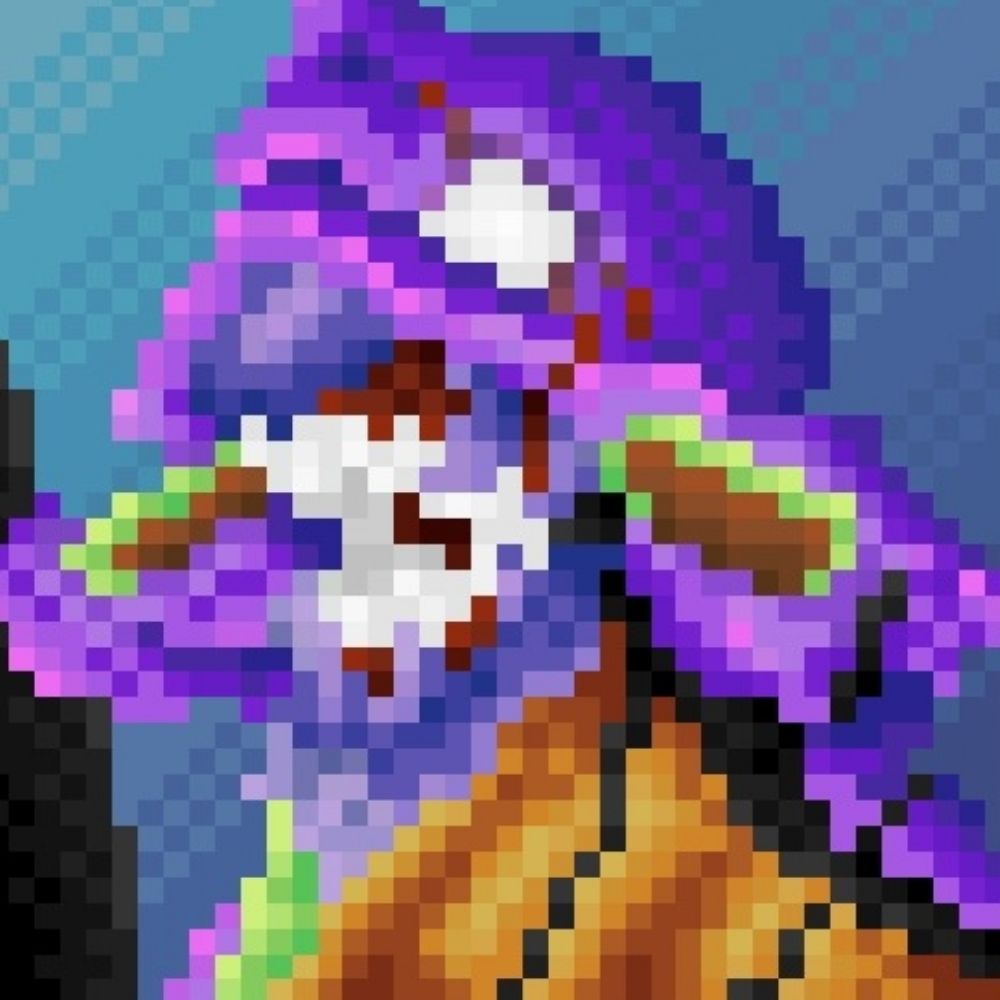 TheBlackWisp 