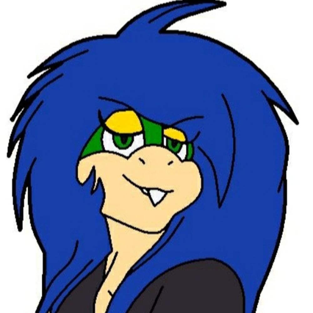 Kookette von koopa