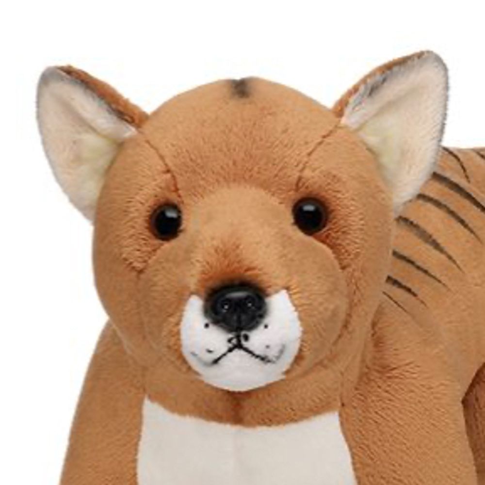 Thylacine
