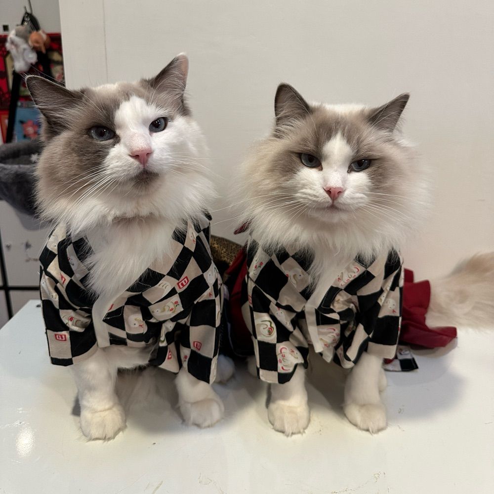 Jasper and Oliver