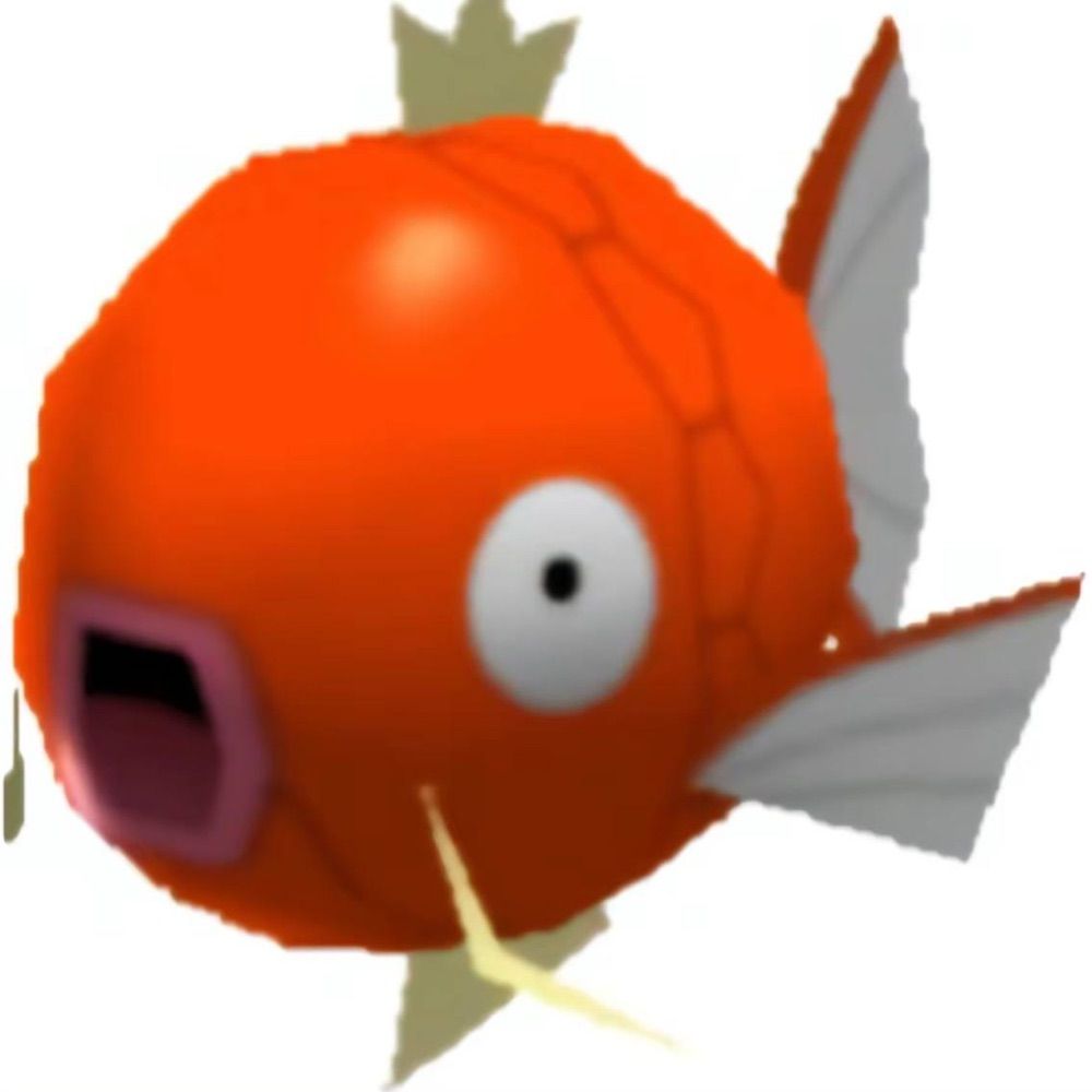 Himbo belly