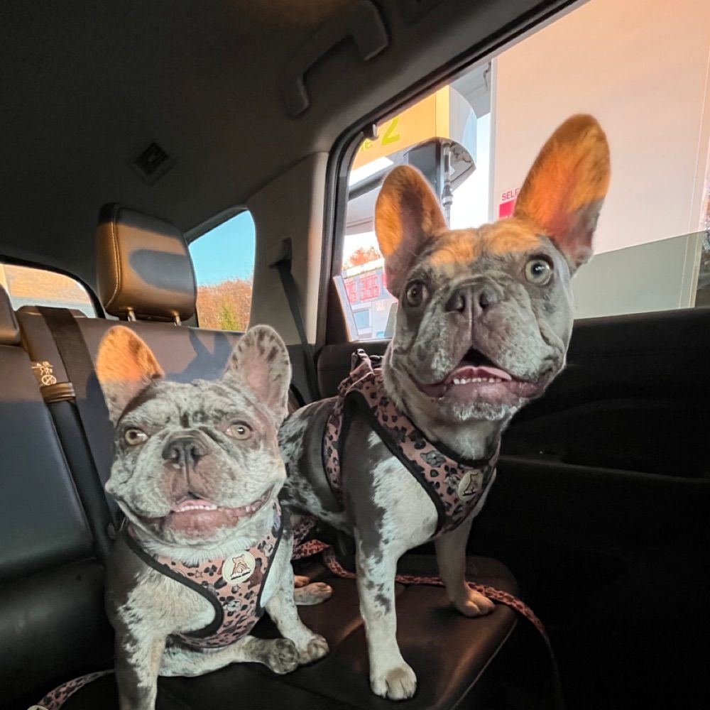 KimchiPebbles