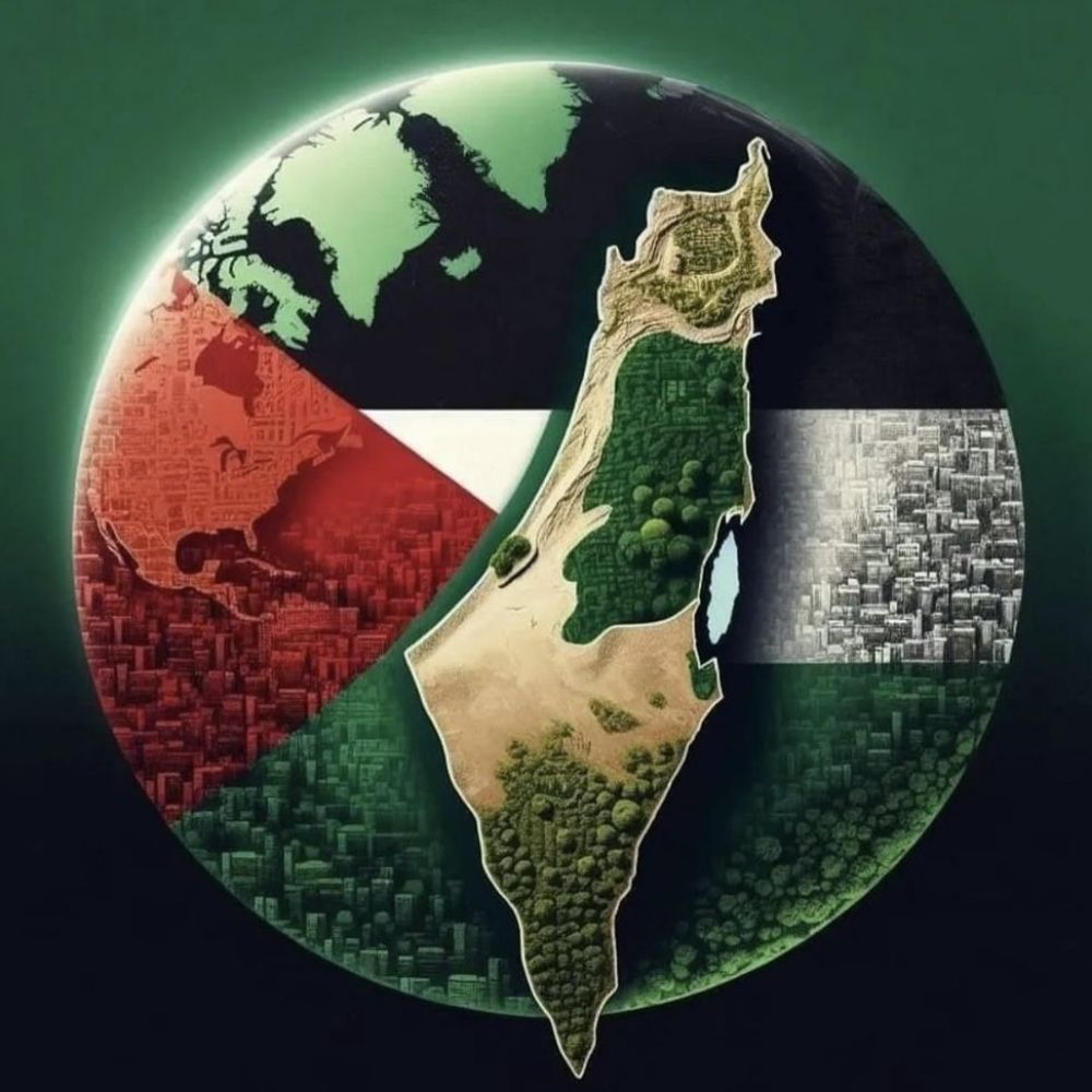 محمد ناصت