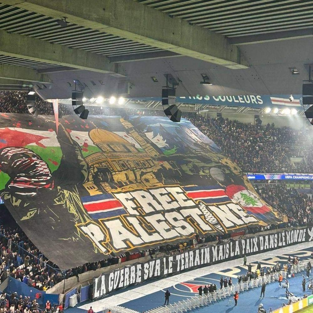 Rantanplaner🇵🇸🏴‍☠️🚩🏴