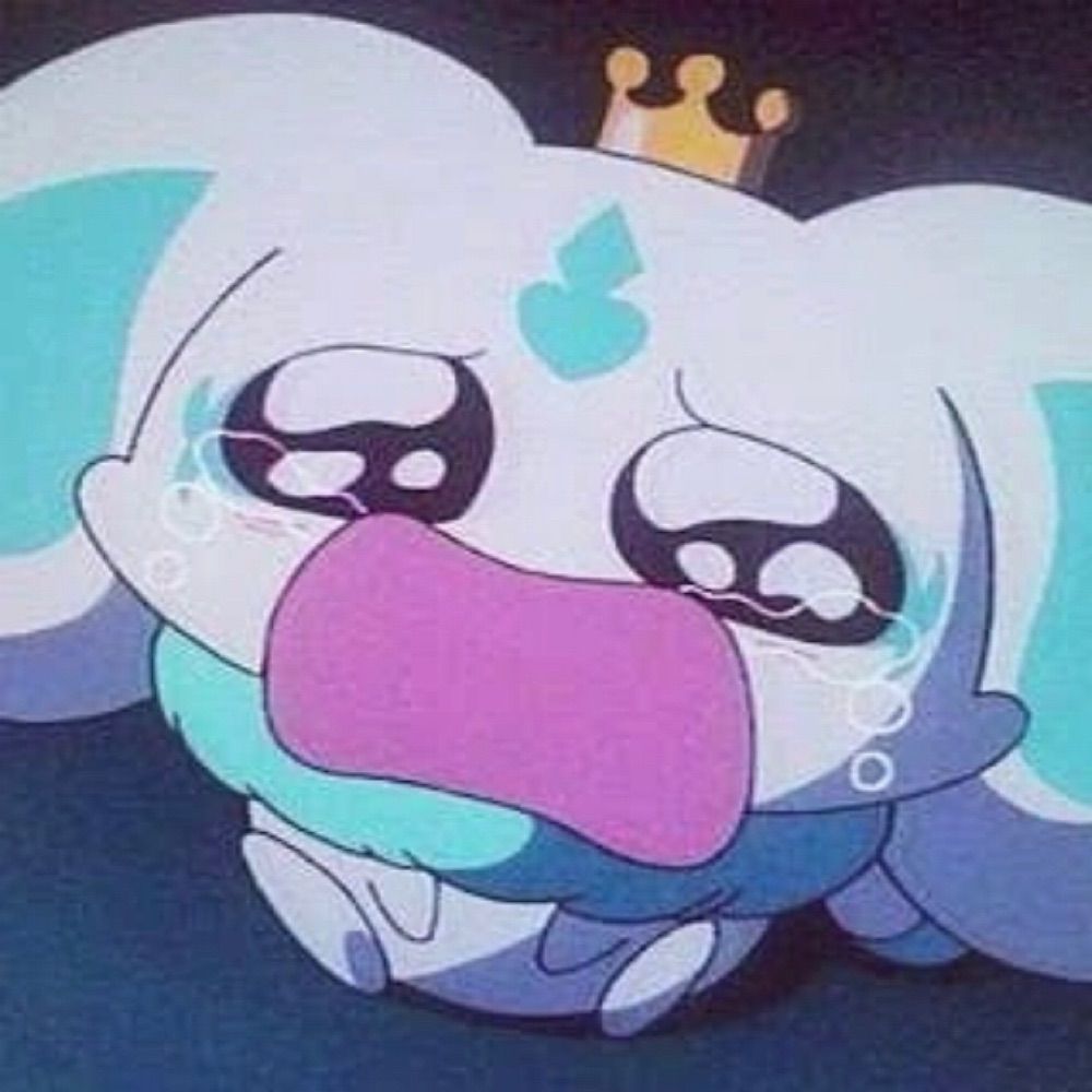 わんこ