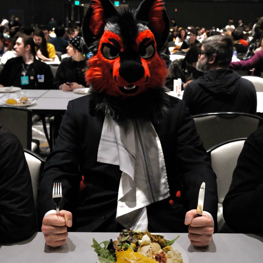 Arai_Wolf