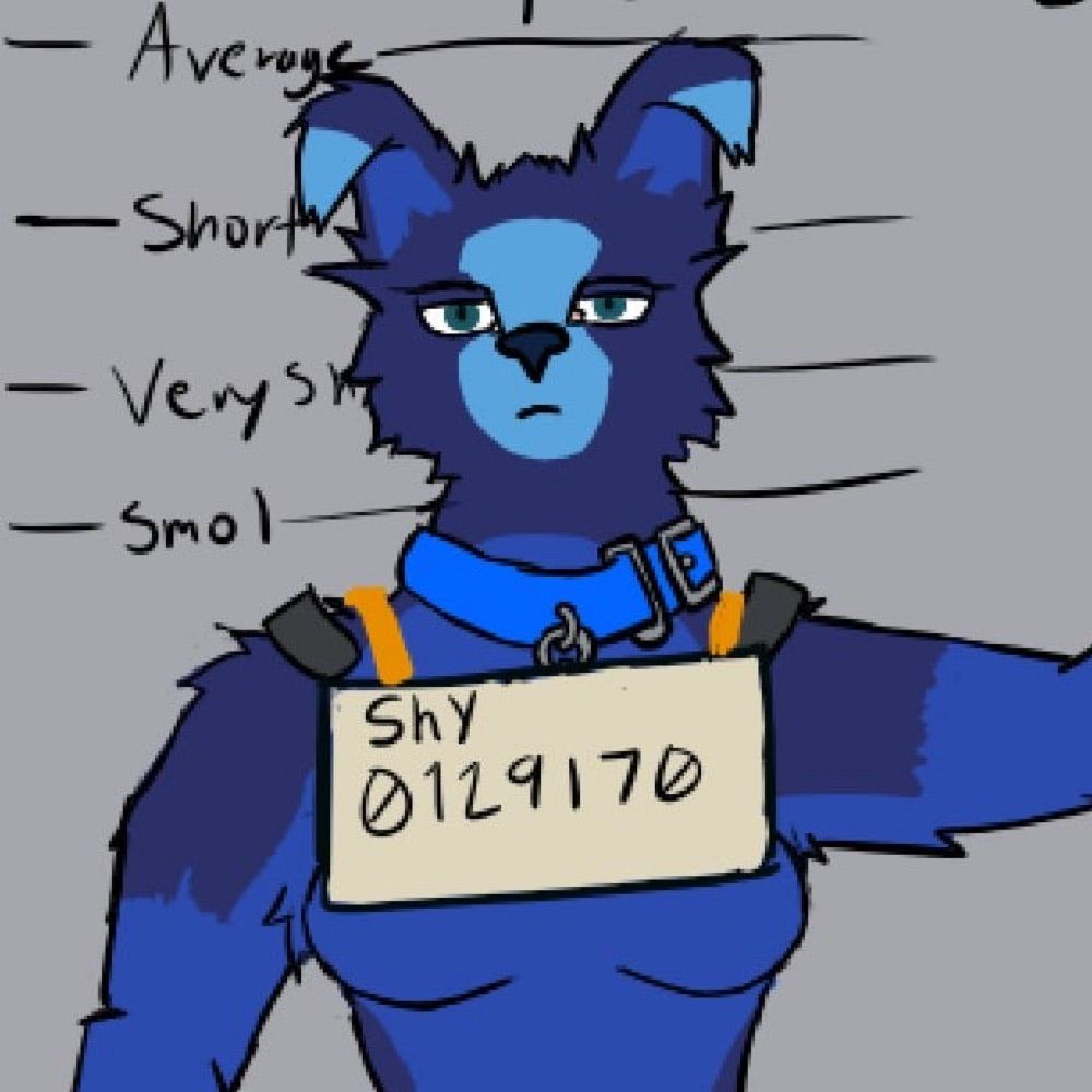 Shy Wulf
