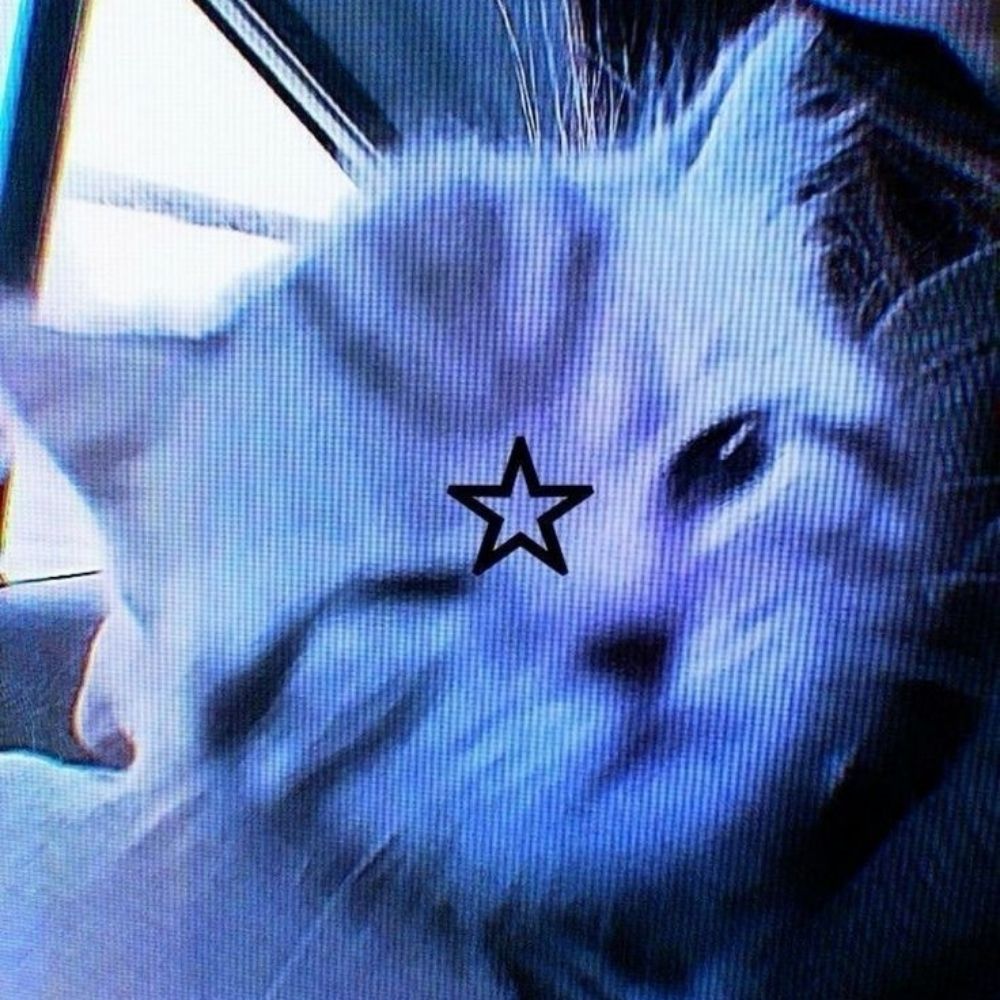 gab