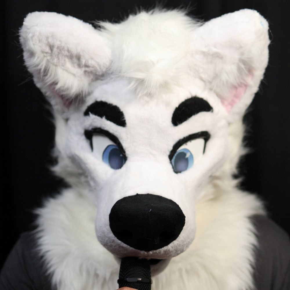 LostyWolf