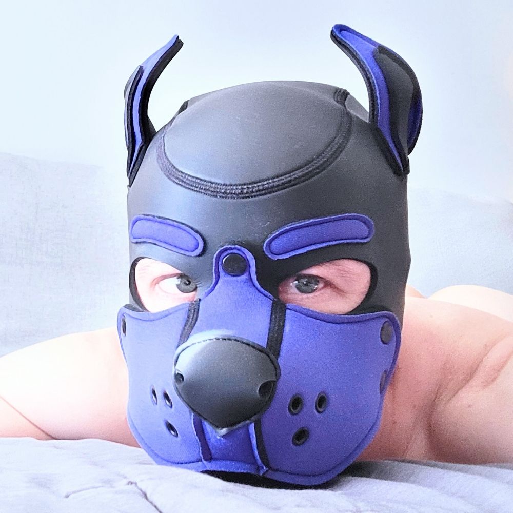 pup Lexx