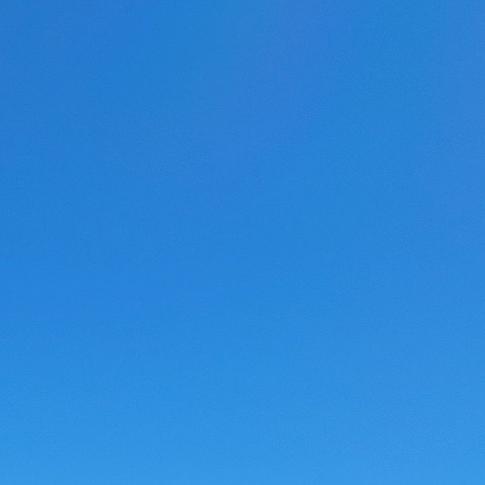 きか