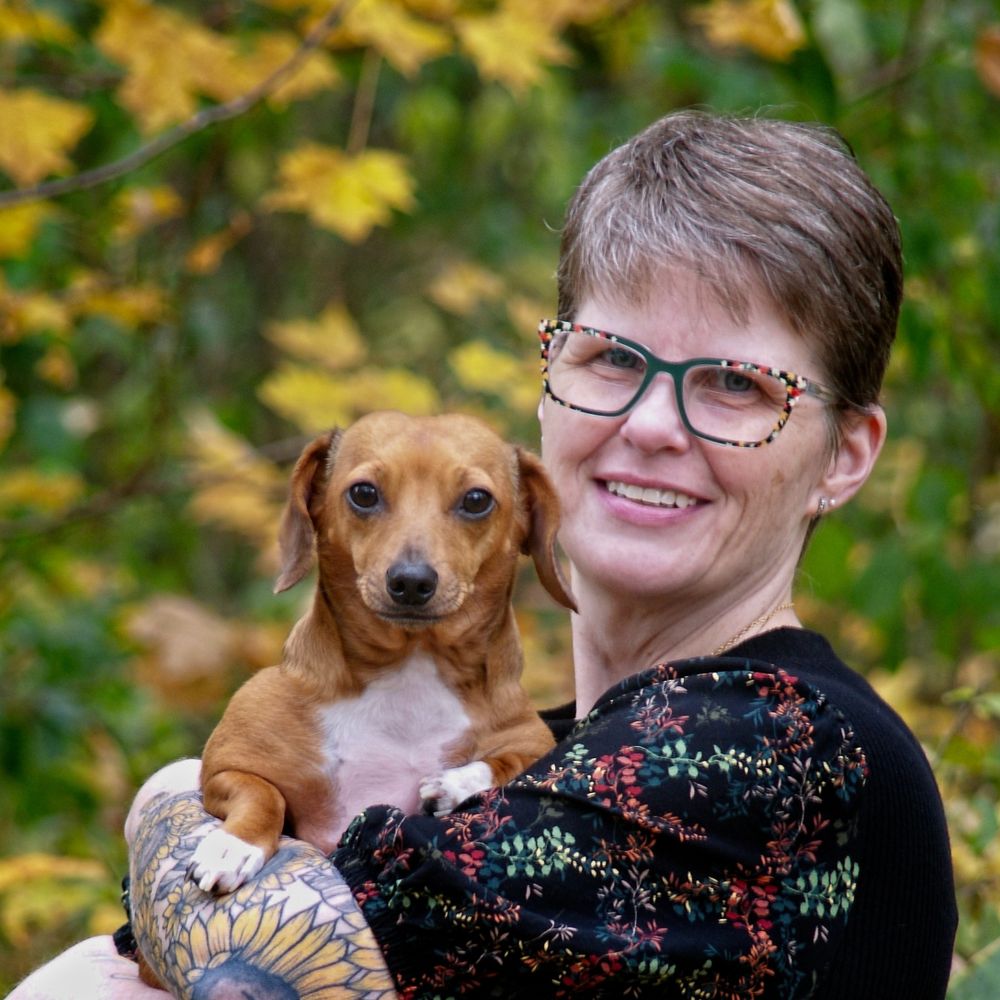 Katie Mettner Author