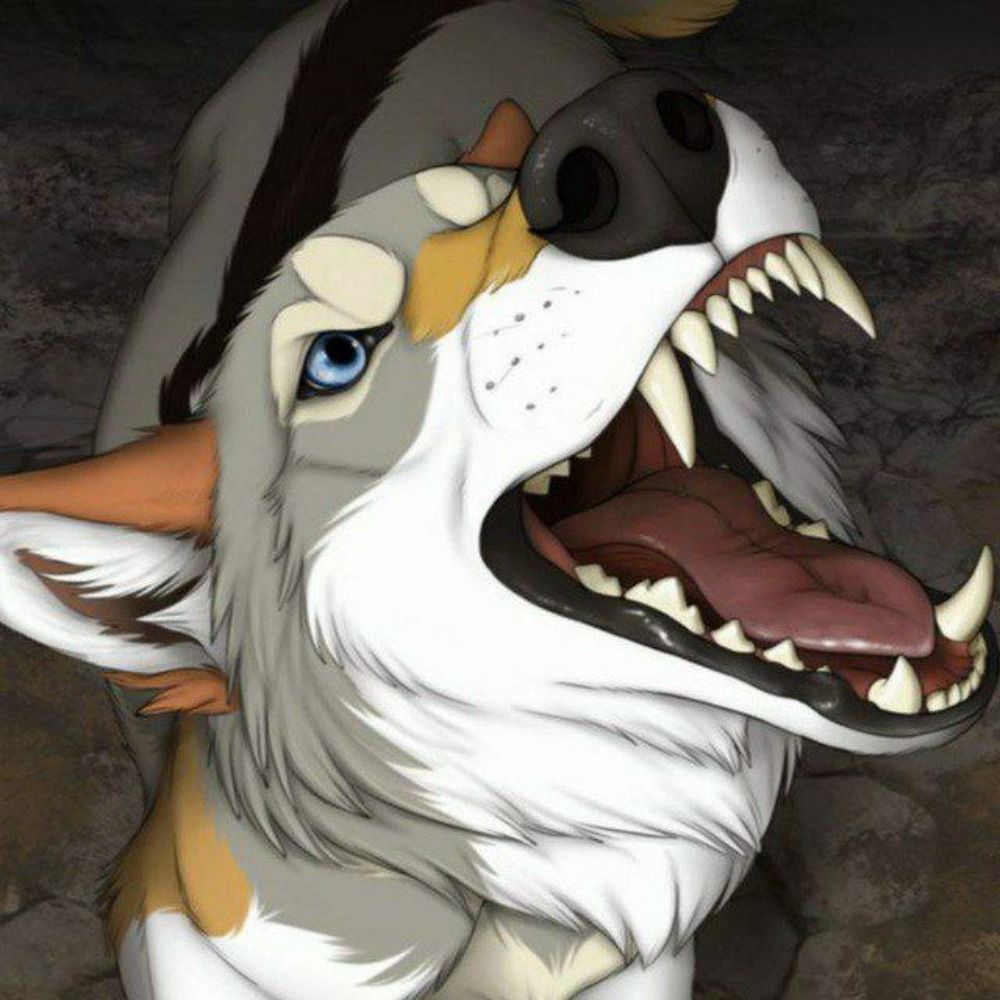 Dirus