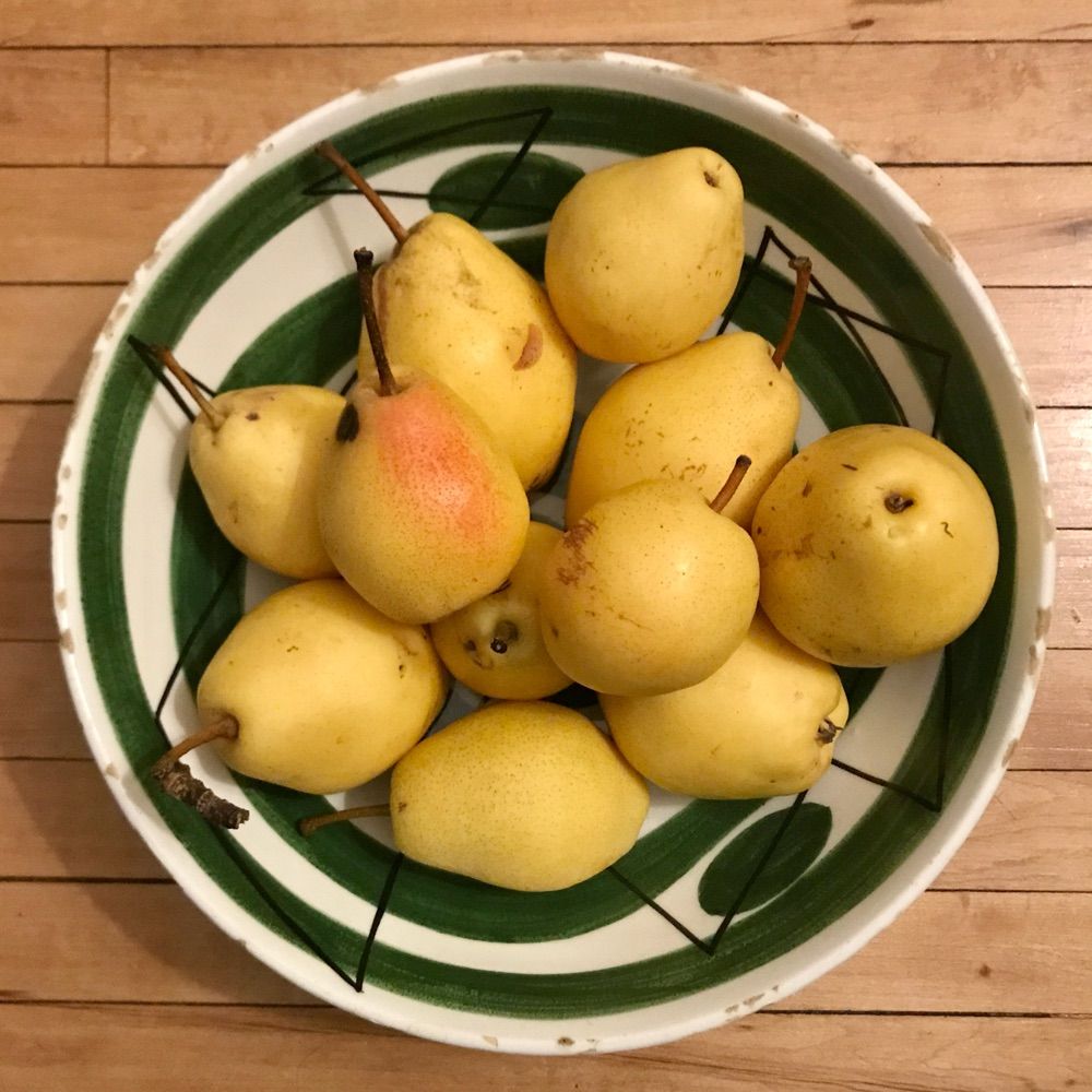 Food porn