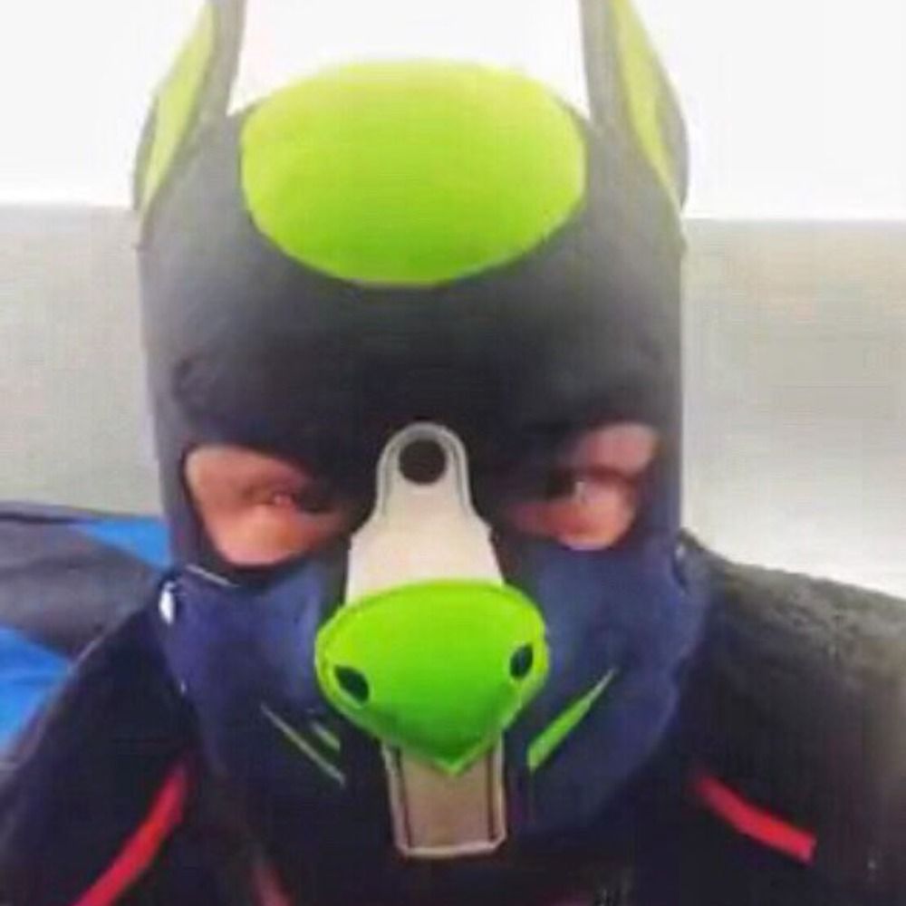 Alpha Cerberus