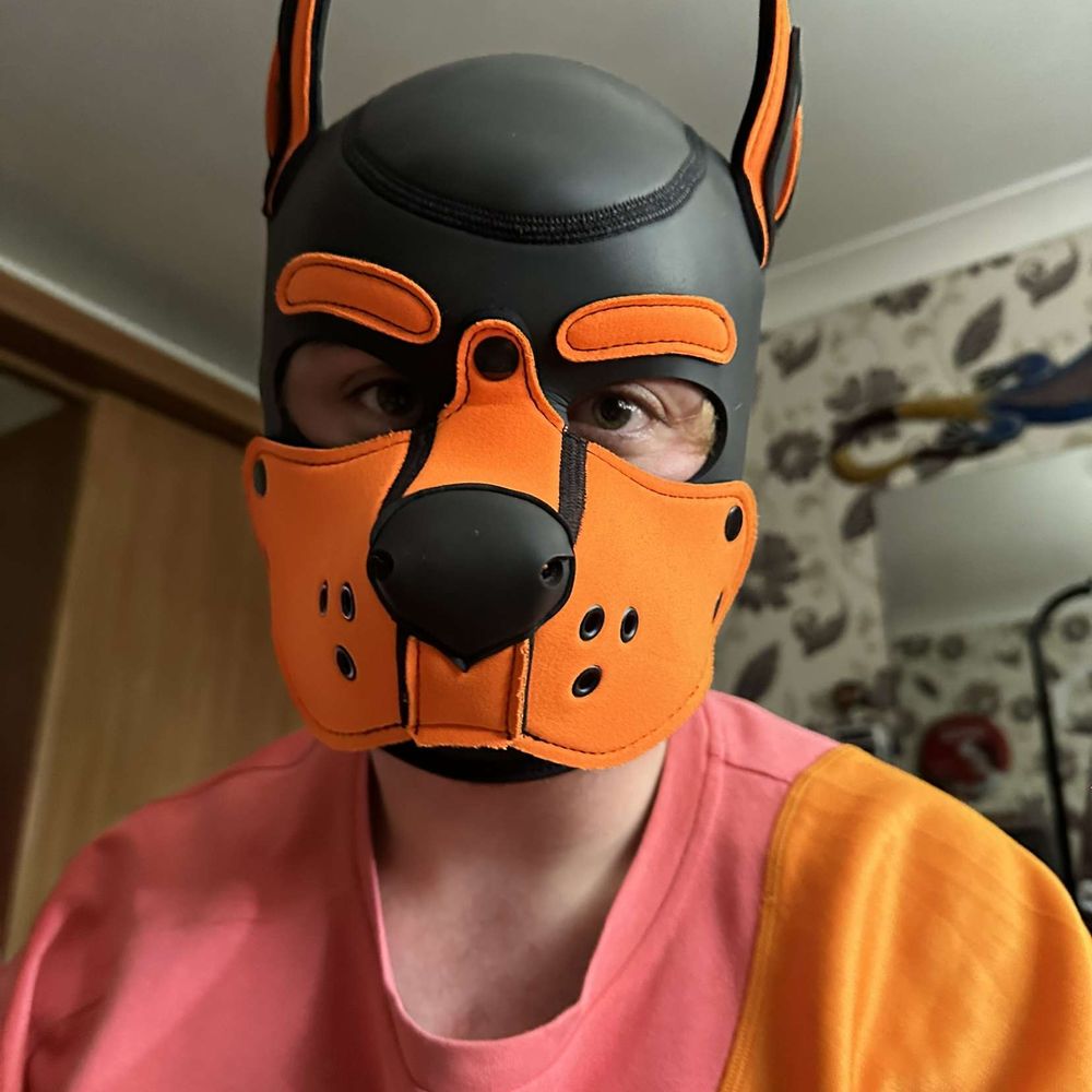 Pup Oscar