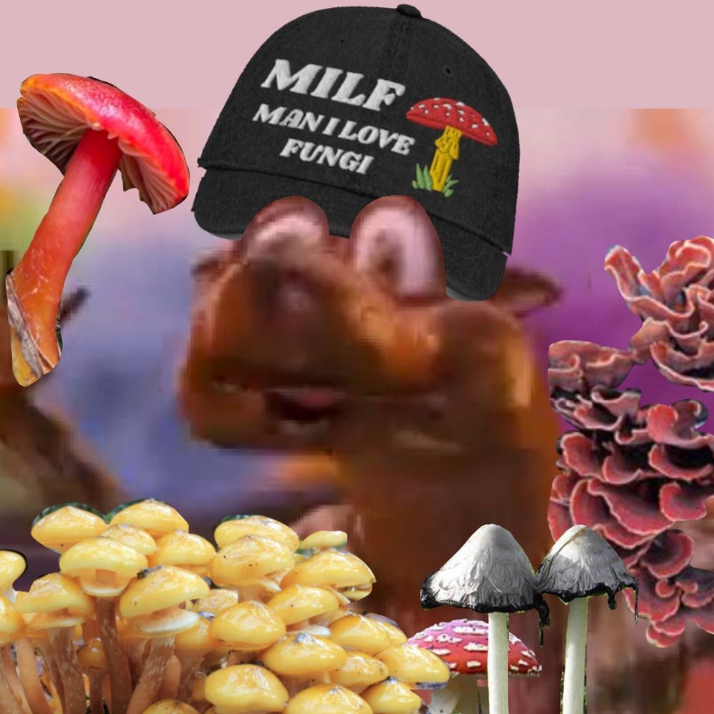 I LOVE MUSHROOMS