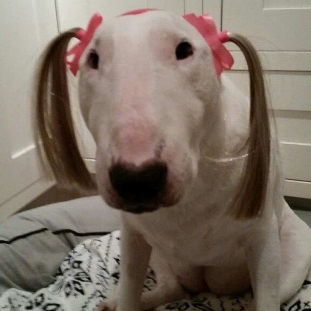 nani ☆