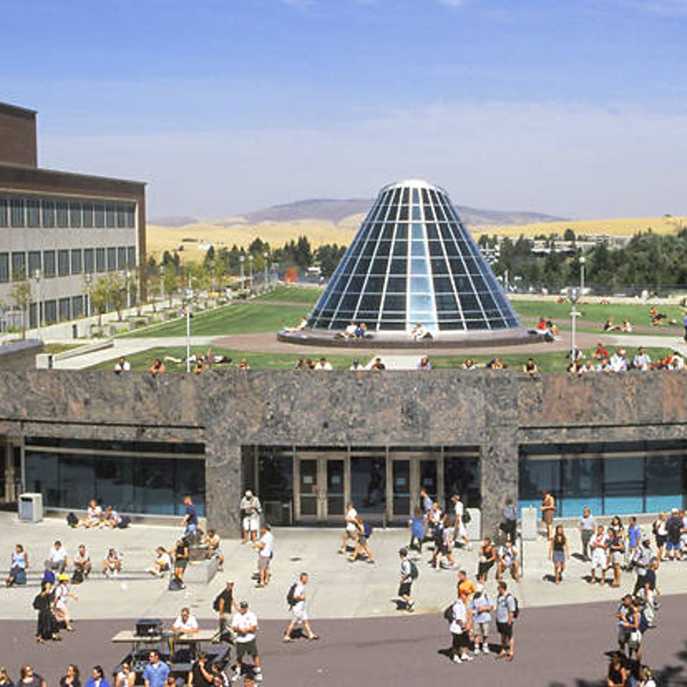WSU Libraries Pullman