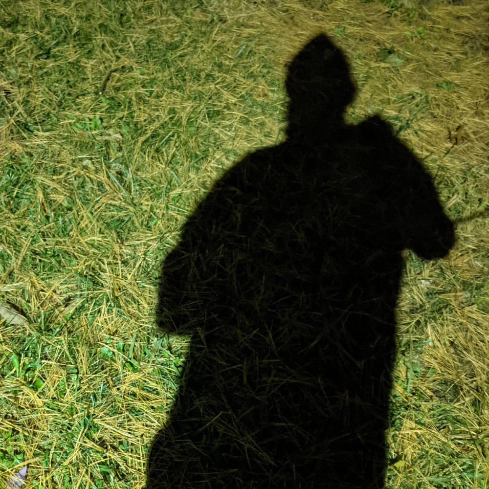 misternineham